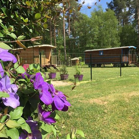 Roulottes Du Chalet Des Pins Rougeou Ngoại thất bức ảnh