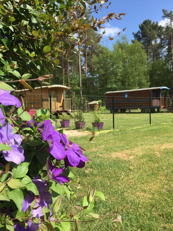Roulottes Du Chalet Des Pins Rougeou Ngoại thất bức ảnh