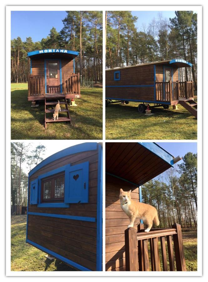 Roulottes Du Chalet Des Pins Rougeou Ngoại thất bức ảnh